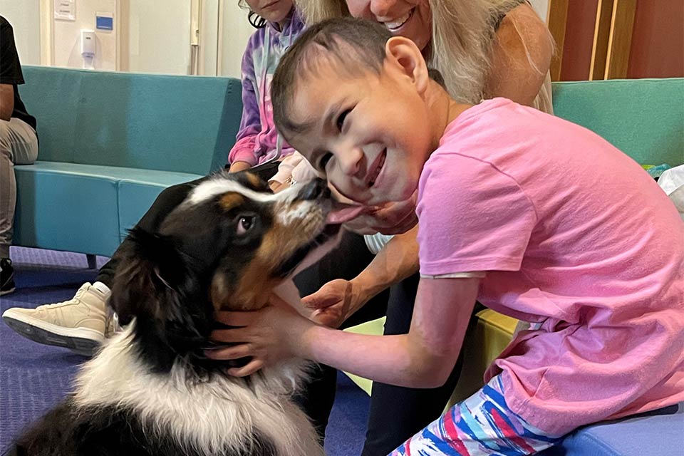 At Shriners Children's Boston, volunteer dog and handler teams help facilitate the healing process in a unique and powerful way. ow.ly/JklA50QTKxC 🐾