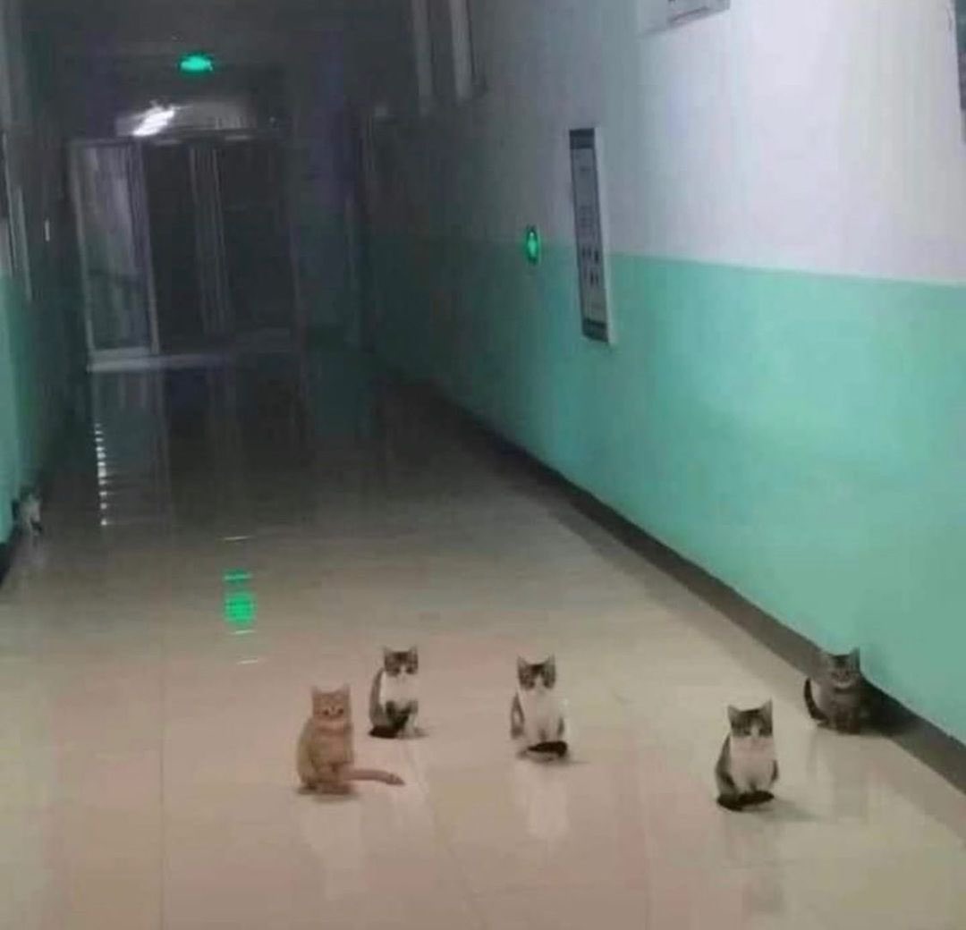 me and the boys waiting for little treats