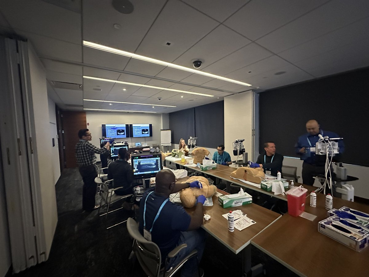 Ariel Shiloh tweet media