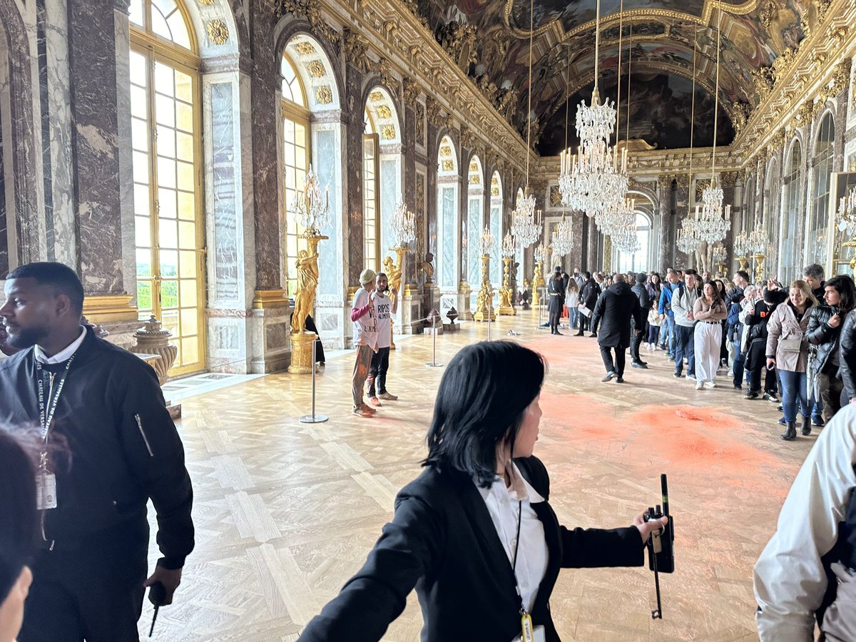 While visiting the Hall of Mirrors in Versailles, we encountered two Animal Rights activists/terrorists who spread some red powder substance to interrupt the tourists. It is the left’s favorite tactic to intimidate and disrupt the public for their causes. And their causes have…