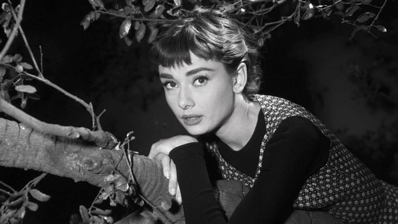 Remembering Audrey Hepburn today on her birthday 🤍