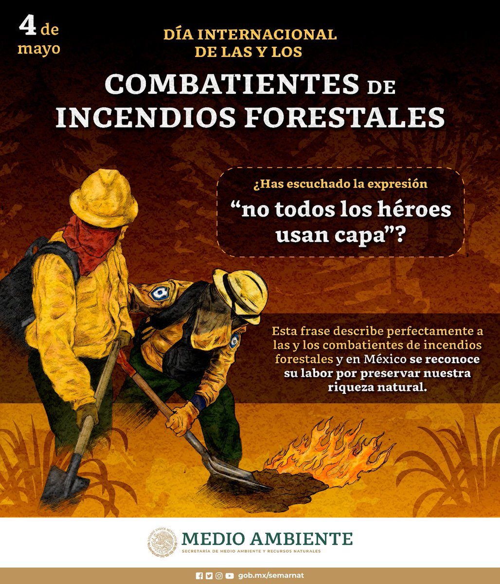 ✨ Este día, reconocemos el valor y la entrega de las y los #combatientes de #IncendiosForestales. Su labor es esencial para proteger los bosques y áreas naturales de nuestro país. 🌳🌲👩🏽‍🚒👨🏽‍🚒🔥 A todas y todos, ¡Gracias! 👏🏽