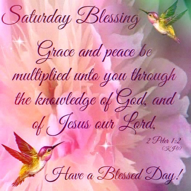 Saturday Blessings everyone. Enjoy!
🩷🩷🩷
.
.
.
#blessings #bible #bibleverse #scripture #peter #god #lord #thelord #lordgod #jesus #jesuschrist #christ #christjesus #saturday #saturdayblessings #blessed #blessedday #grace #peace 
#enjoy #enjoylife #davisonlupinski