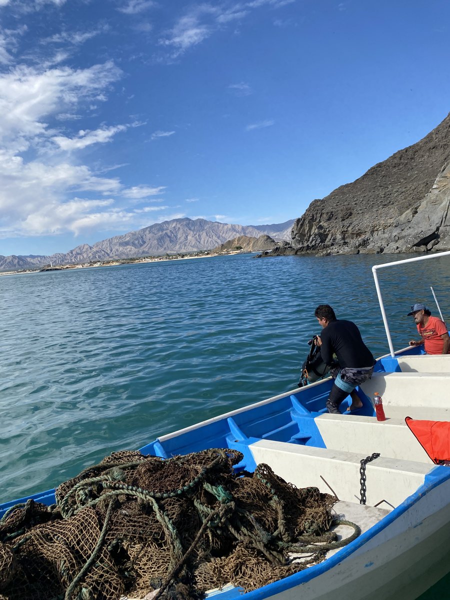 That first photo is from your October 2023 training for our ghost net removal divers in San Felipe - thanks again @_CIMexico @OurOcean @GGGInitiative @ICFC_for_Nature @cobi_mx @pescaabc