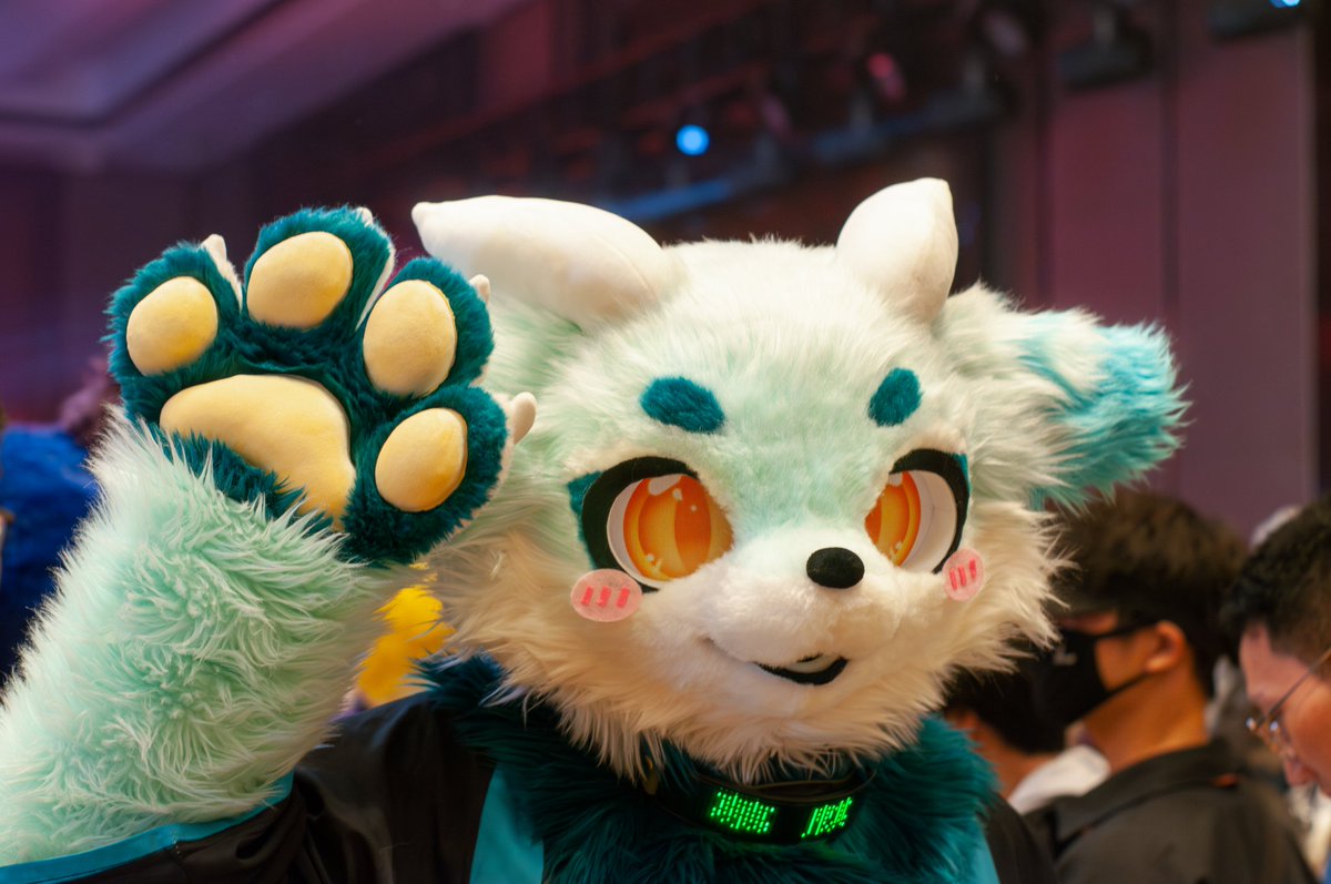 SAMA43191880's tweet photo. hifurry夜场 https://t.co/UiTpEoAq2l