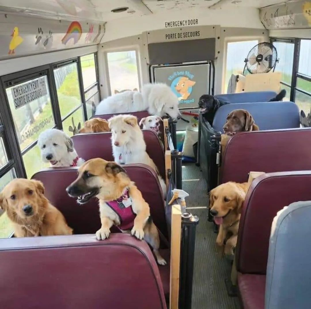 Bus recently seen leaving South Dakota