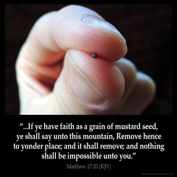 A mustard seed … ✝️1459 @mombelieves @soli_Jesum @ReHeitmann @MAGA_Meme_Man @Bro_Charlsss @GunRangeGal @WinksAnn65767 @Tigernation75 @ShariCa16527508 @MysticArrow8 @JanetTX_Blessed @SavvyHuman @shirhal @cmir_r @rosejam181920 @Cynthiab0013 @Eye_C_U_Smith @Aralia_me…