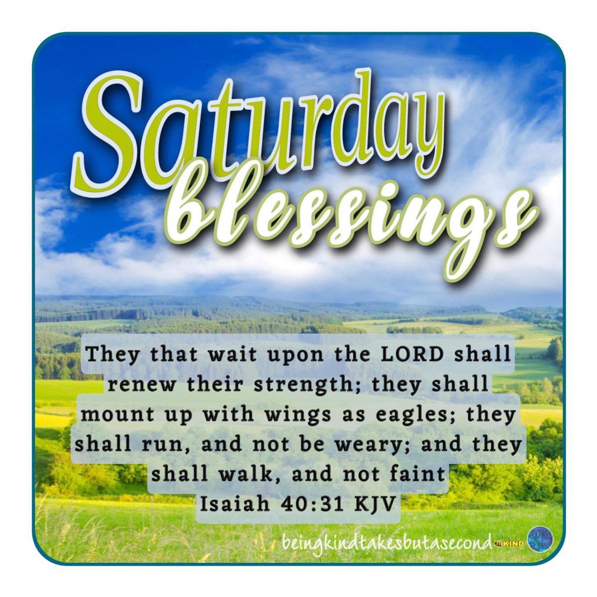 😘❣️   SATURD🔅Y   BLESSINGS 🙏🏼  They that wait upon the LORD shall renew their strength; they shall mount up with wings as eagles; they shall run, and not be weary    ✝️  🙋🏻‍♀️   🐝 KIND
#saturdayblessings #blessings #beekind #teamhumanity #beingkindtakesbutasecond #waituponthelord