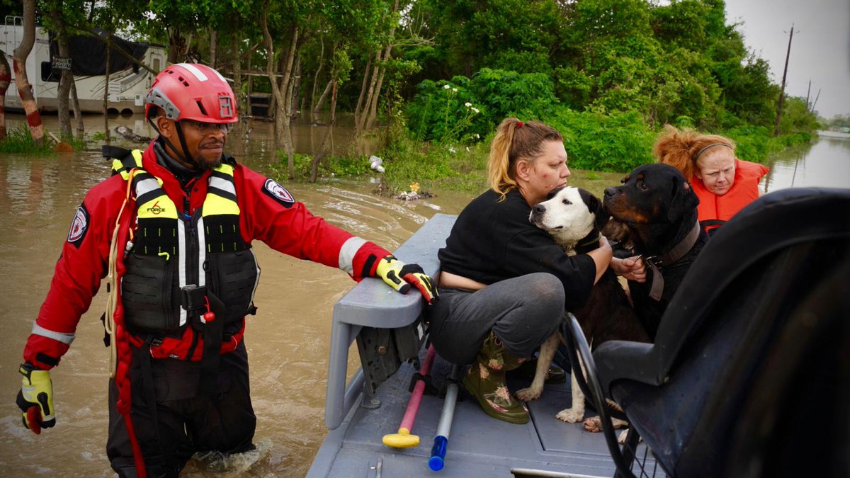 The Harris County Sheriff's Office Flood Rescue Team rescued ten adults and four dogs in the 17600 block of Meadowbrook Dr, in Channelview. #HouNews #HouWx