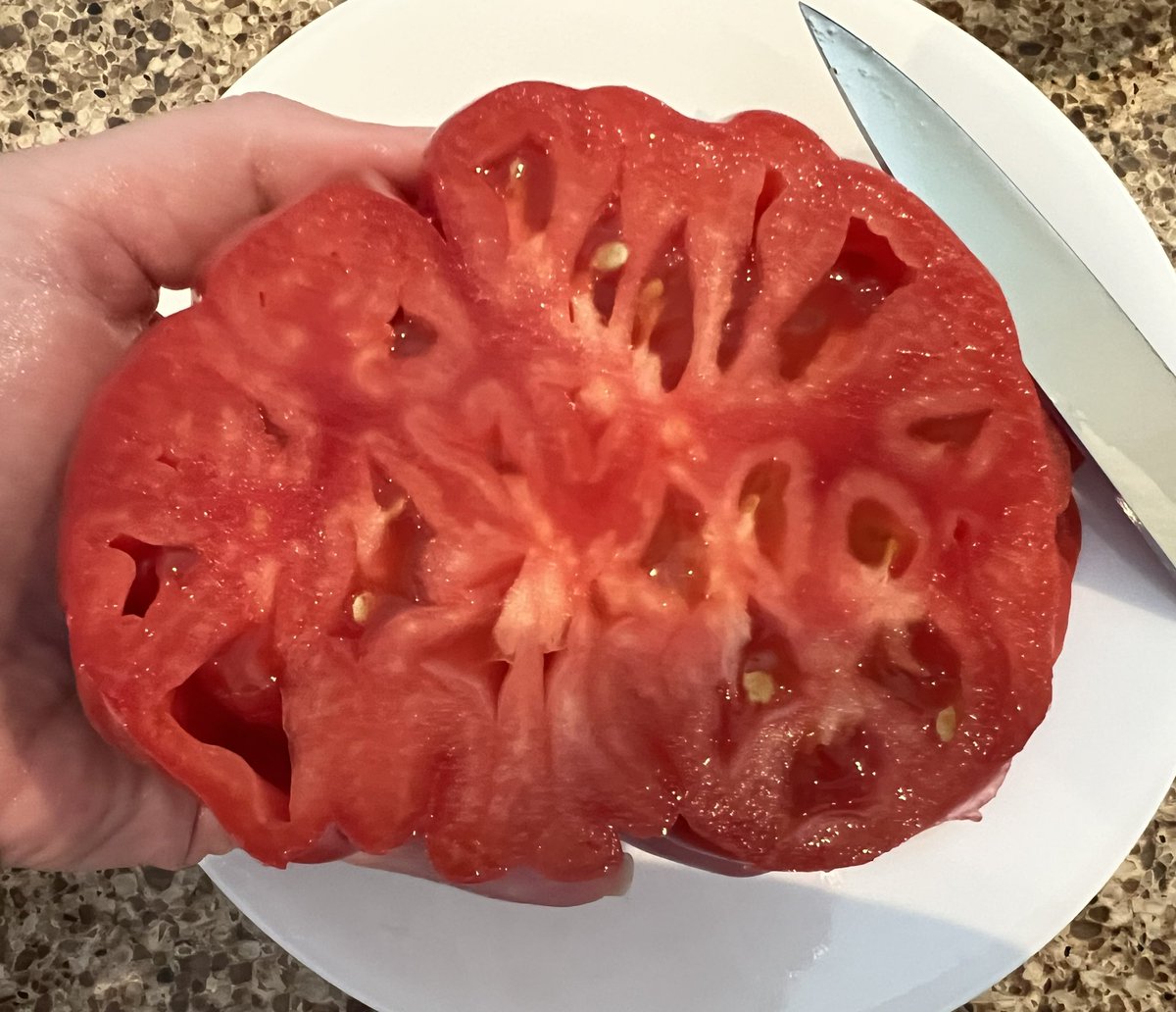 I love heirloom tomatoes, but this one is giving me flashbacks to university neuroanatomy classes 🧠