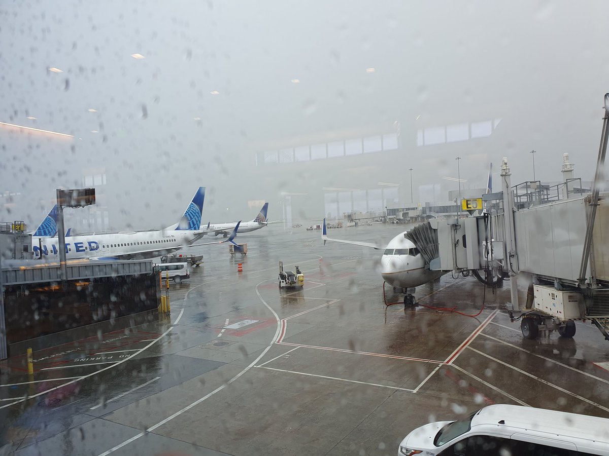 Philip Barclay (@philipbarclay) on Twitter photo Wet rainy day in San Fran today. One more flight for today, but seems my suitcase didn't make it onto the <a href="/united/">United Airlines</a> plane in Auckland. Might have to make sure it is <a href="/FlyAirNZ/">Air New Zealand</a> next time. Wet rainy day in San Fran today. One more flight for today, but seems my suitcase didn't make it onto the <a href="/united/">United Airlines</a> plane in Auckland. Might have to make sure it is <a href="/FlyAirNZ/">Air New Zealand</a> next time.