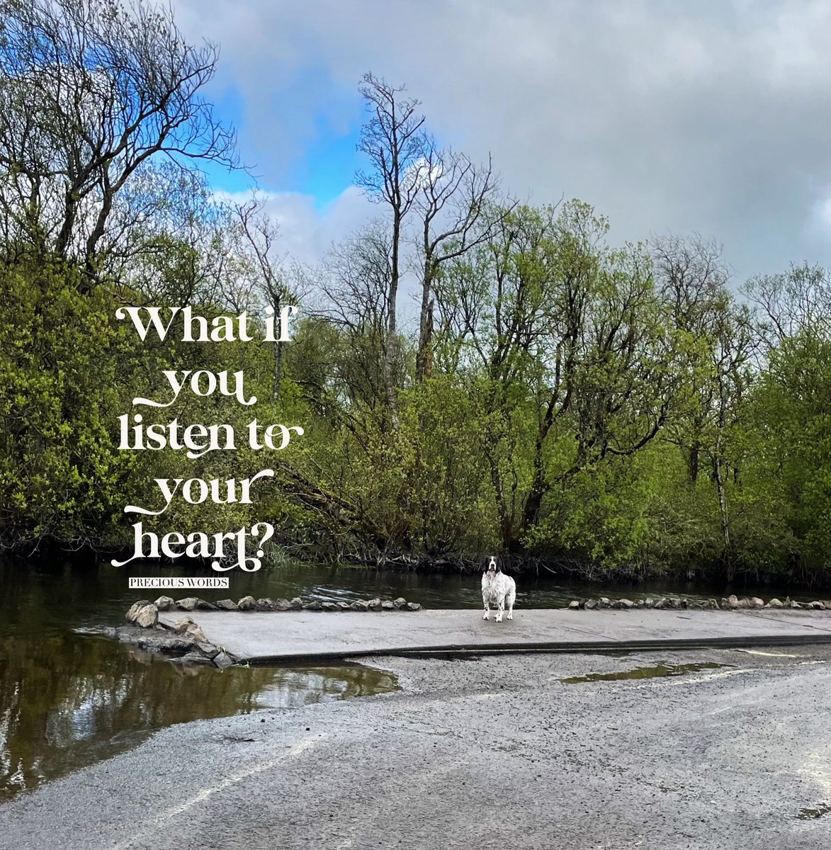 What if you listen to your heart?
#listentoyourheart #listen #whatif #preciouswords #preciouswordstoliveby