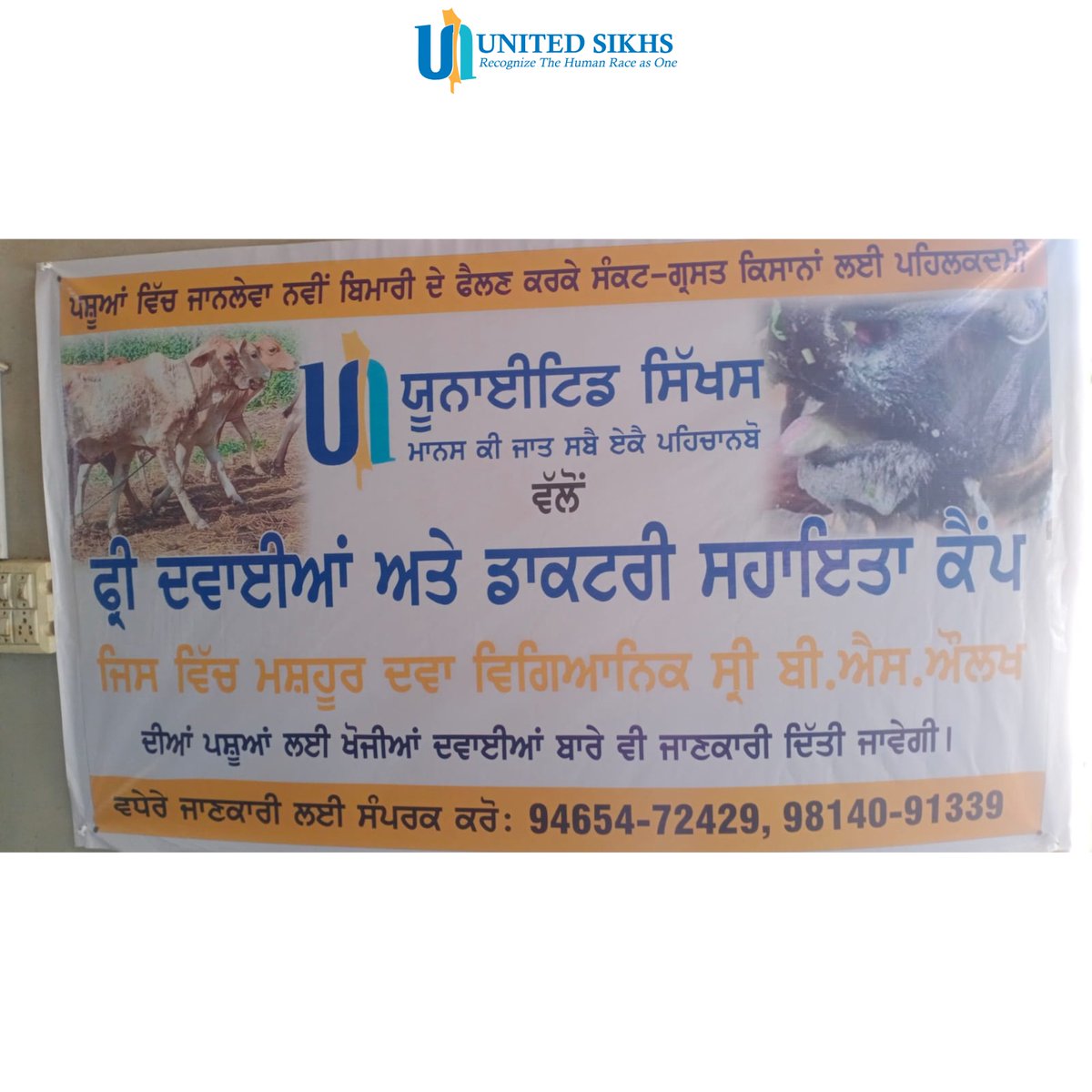 URGENT Update on Foot and Mouth Disease Outbreak in Panjab: The situation escalates as the disease spreads across more districts, impacting livestock and farmers' livelihoods. UNITED SIKHS is on the ground providing vital care and medicines. Your support is crucial to combat…