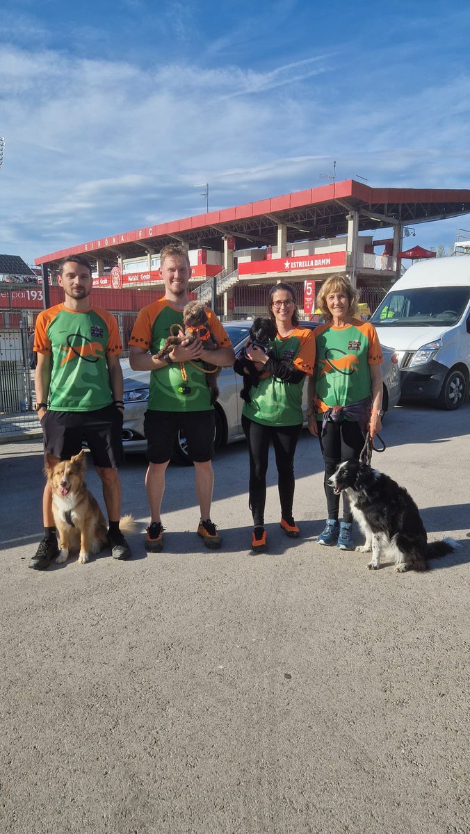 Today <a href="/GironaFC/">Girona FC</a> vs <a href="/FCBarcelona/">FC Barcelona</a> dog exhibition at half time. <a href="/LaLiga/">LALIGA</a> what an honor to jump in front of 13.5k people #connectingdogs <a href="/Gosbicom/">Gosbi</a>