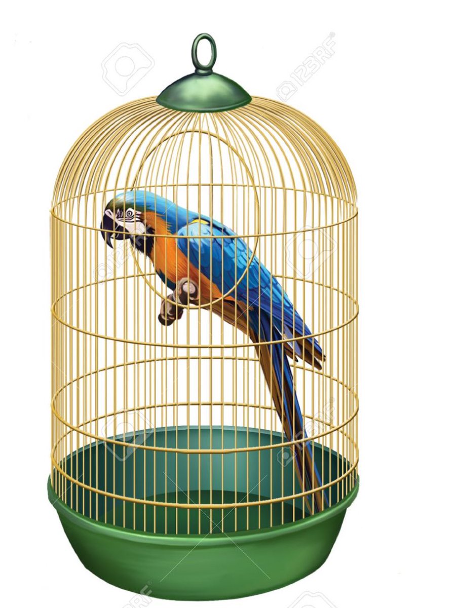 The parrot in cage analogy You can only know that the parrot loves you if you release it and it returns. Otherwise it’s there because of the cage . Wamwe takagarira makeji Good day