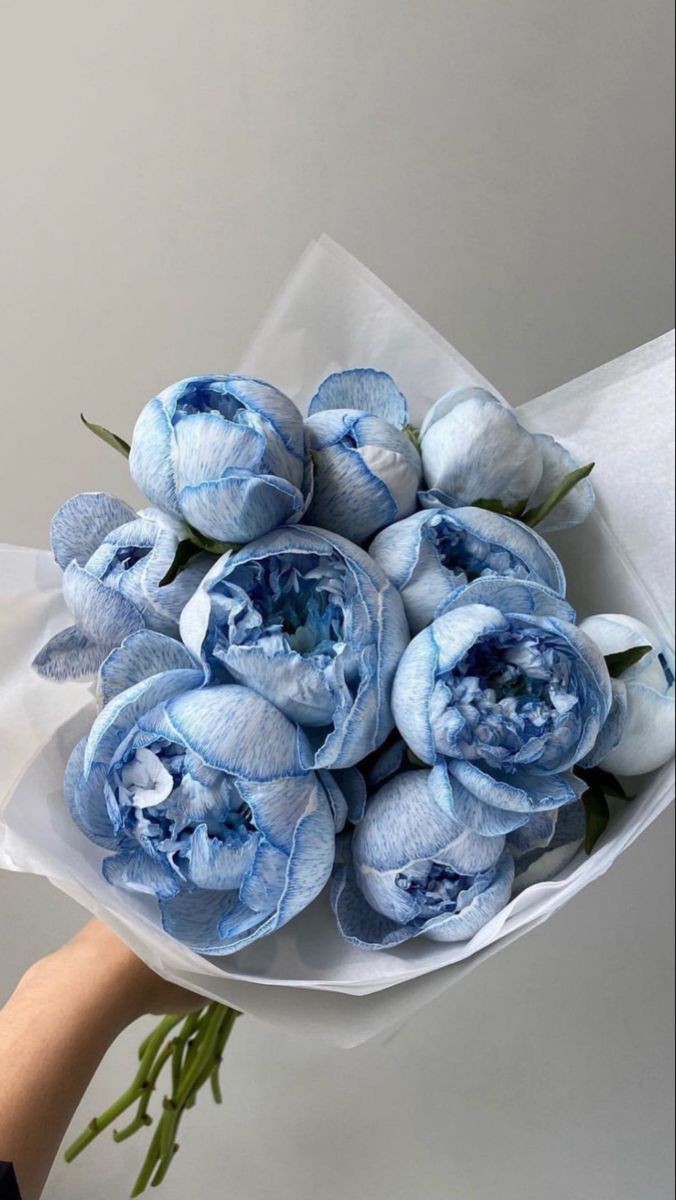 blue tulips or blue peonies?