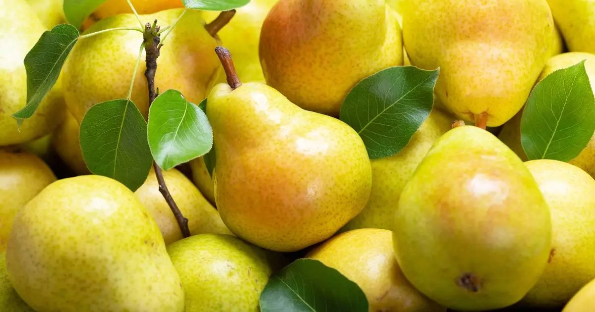 studygogs's tweet image. responda com "." pra uma cor, eu peguei:   

- personagem  
- comida  
- flor 
- estética