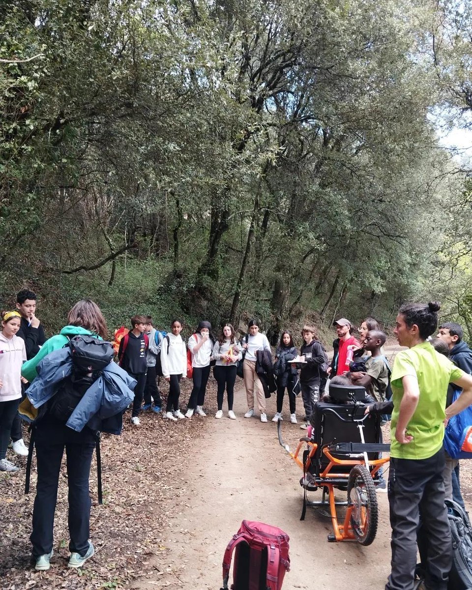 CdaVallsAneu's tweet photo. 1/1 Una altra experiència d'#educacióinclusivareal  #campsientornsdaprenentatge. Els companys de #CdARipollès van fer la Via Annia amb l'alumnat de 1ESO de l'@insabatoliba #Ripoll. TOTHOM va poder fer l'activitat gràcies a #NaturaInclusivaRipollès @Fenix85_ i @CEAAltTer #Joëllete https://t.co/VsieIK9jHW