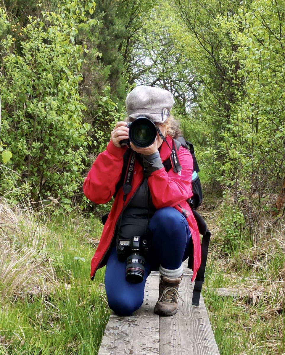 Delighted to welcome the wonderful @anniehollandart today, filming as part of @CCWPeatlands end of project presentations👏 @forum_wetlands @noonan_malcolm @NPWSNatureCons @ipspeatlands @TinaClaffey @NenaghGuardian @whittledaway