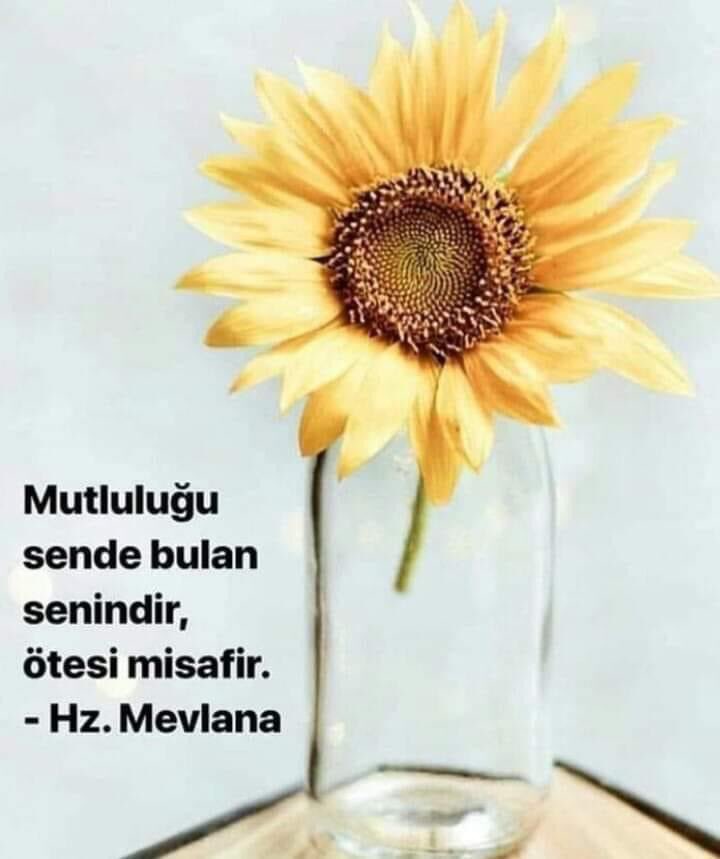 Mutluluğu sende bulan senindir;👇🤔👌❤️🥰🌸🦋🌺🦋