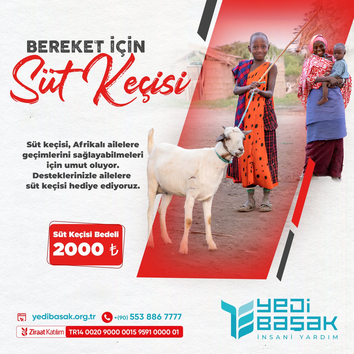 BEREKET İÇİN SÜT KEÇİSİ Süt keçisi, Afrikalı ailelere geçimlerini sağlayabilmeleri için umut oluyor. Desteklerinizle ailelere süt keçisi hediye ediyoruz. Hesap Adı: Yedi Başak İnsani Yardım Derneği IBAN No: TR14 0020 9000 0015 9591 0000 01 🌐 Online: bagis.yedibasak.org.tr/bagis/sutkecisi