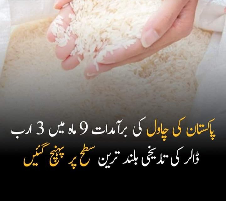 Pakistan's rice exports reached an all-time high of more than $3 billion in nine months, setting a new record.
#PakistanRiceExports #PakistanTrade  #RiceMarket #RiceTrade #RiceIndustry #PakistanRice #RiceMarketTrends #ExportGrowth #RiceDemands
 #RLG #GrainTrade #CommodityTrade