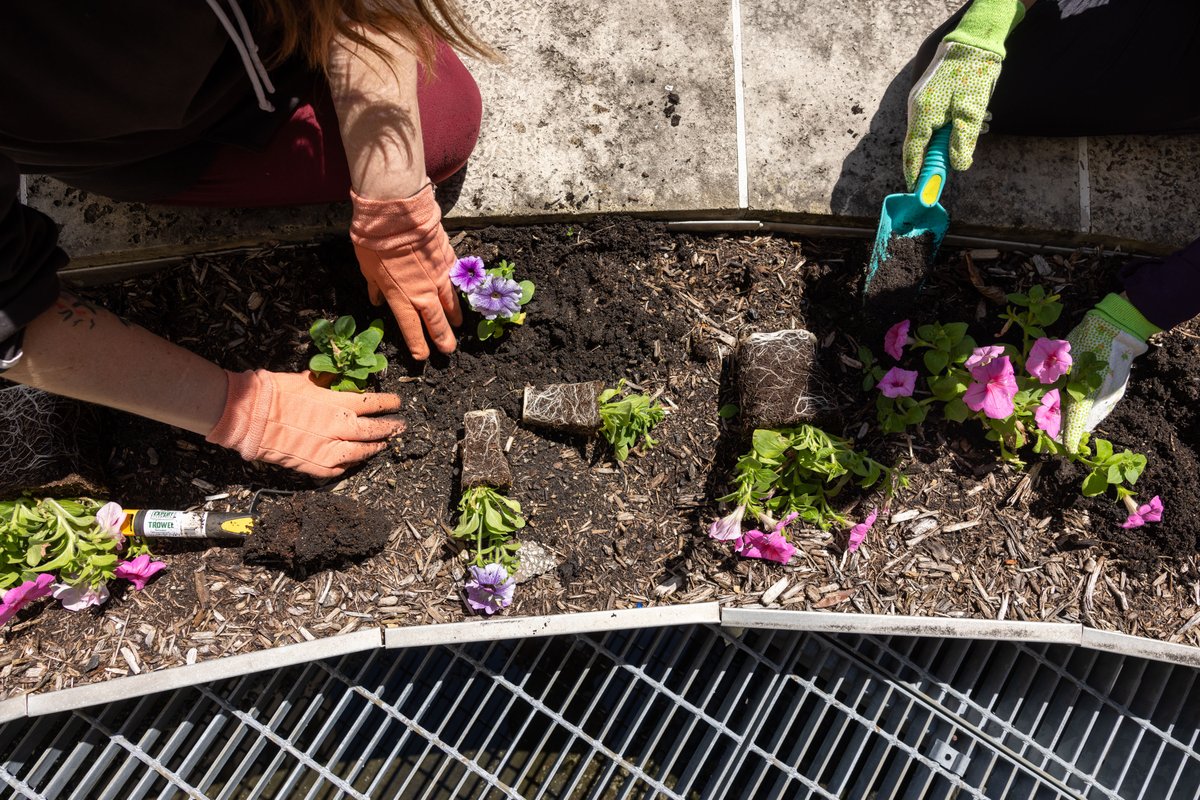 Some of our recreation therapy patients took advantage of the nice weather recently by planting some new spring flowers. 🌻☀️