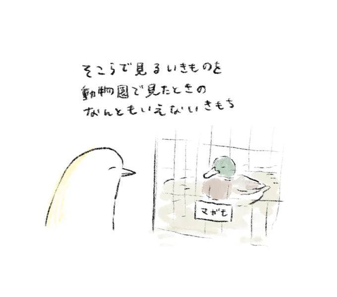 動物園 
