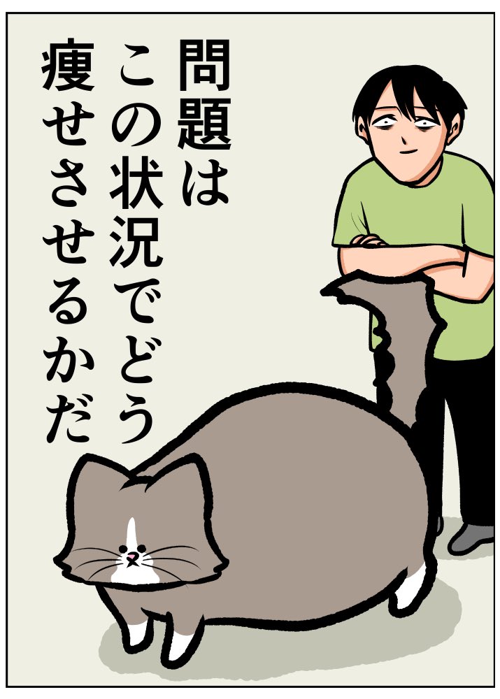 うちの猫の体質と体重