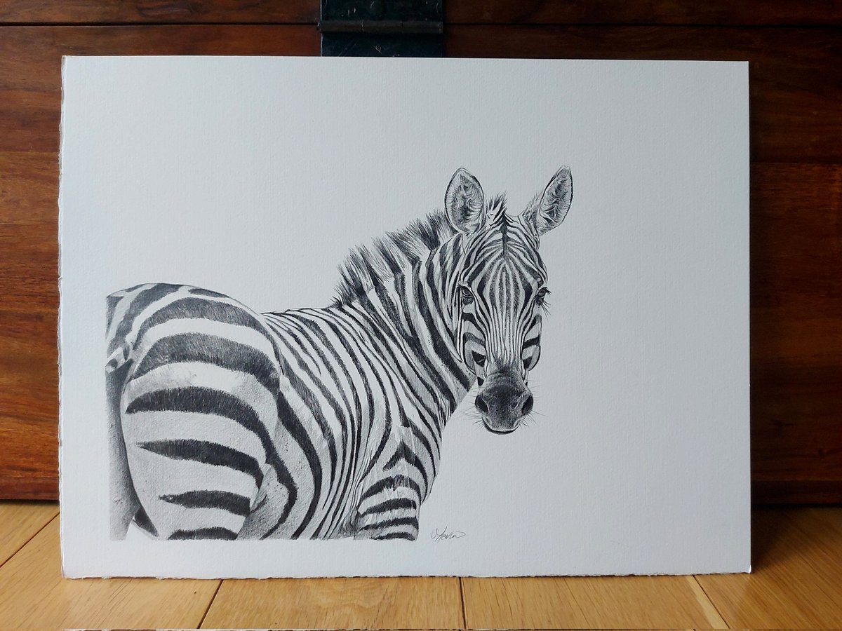 Original drawing available. #zebras #drawing #art