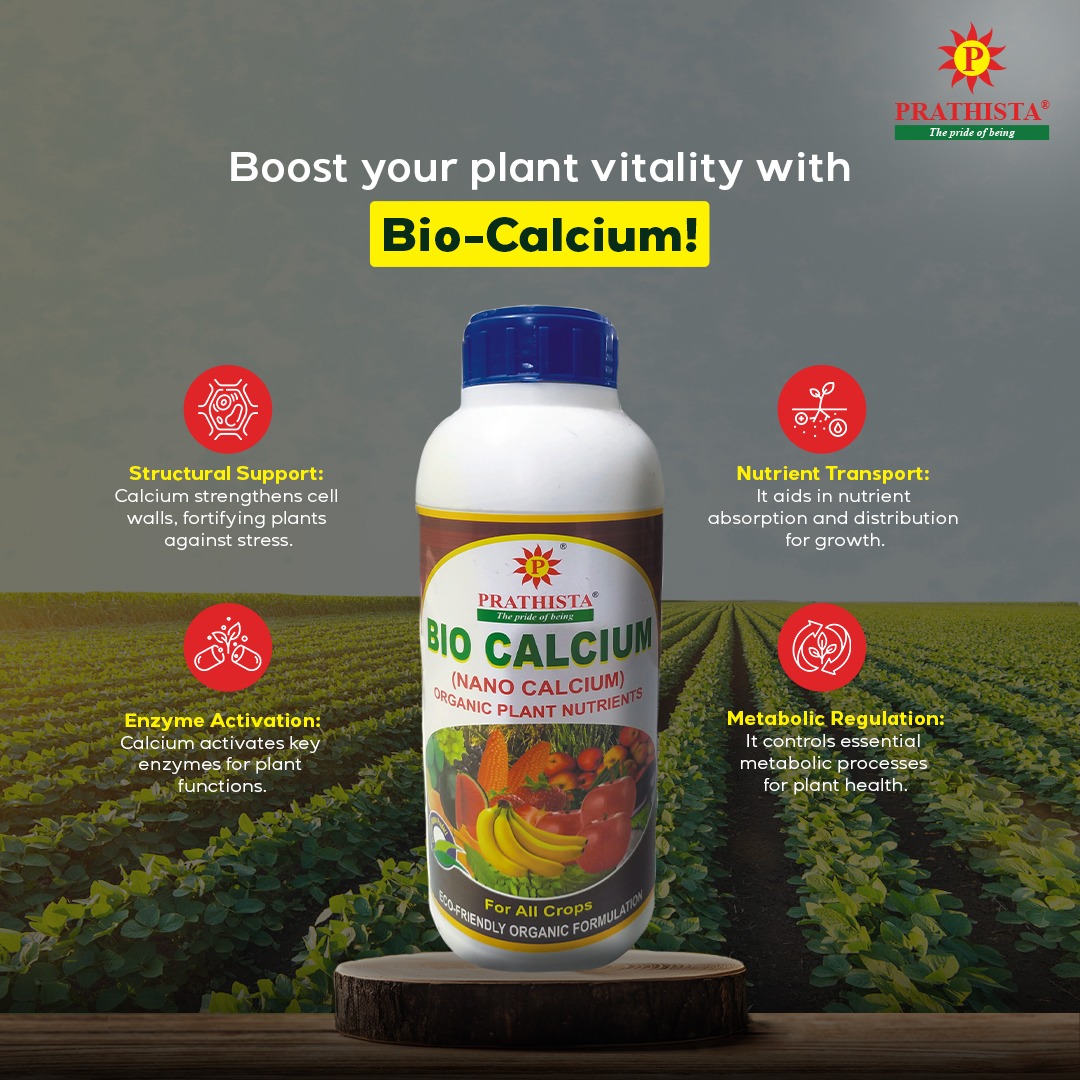 Discover the power of Prathista Bio-Calcium to enhance your plant's vitality!

#biocalcium #biopesticides #crophealth #agroproducts #agriculturelife #plantnutrients #cropprotection #cropgrowth #biofertilizer #farmerschoice #indianagriculture #prathistaindustrieslimited