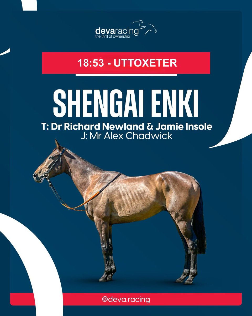 𝙍𝙐𝙉𝙉𝙀𝙍 - 𝙎𝙃𝙀𝙉𝙂𝘼𝙄 𝙀𝙉𝙆𝙄 Shengai Enki runs this evening at Uttoxeter in their 2m 7 1/2F Handicap Hurdle at 6:53pm under jockey Mr Alex Chadwick for trainers Dr Richard Newland and Jamie Insole. Good luck to all of his owners🤞🏻 #DevaRacing