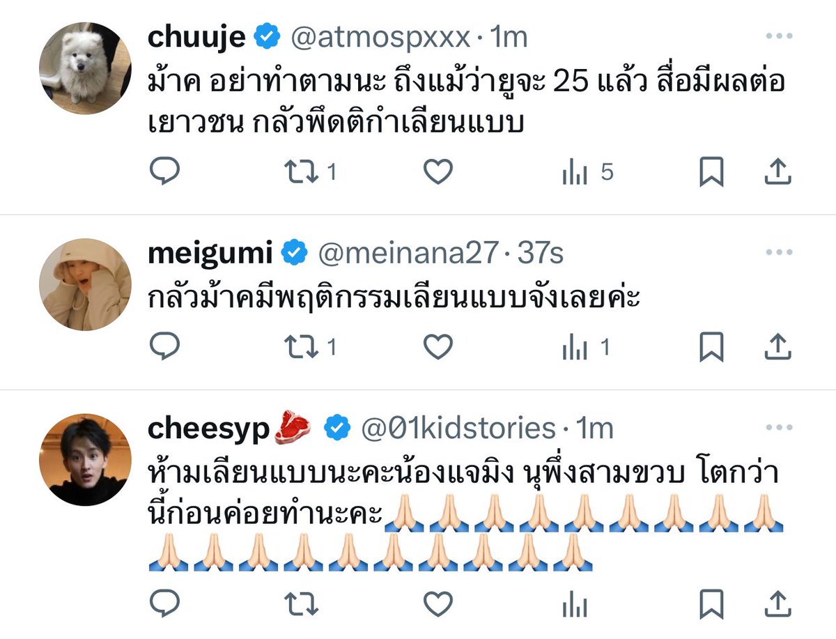 meigumi tweet media