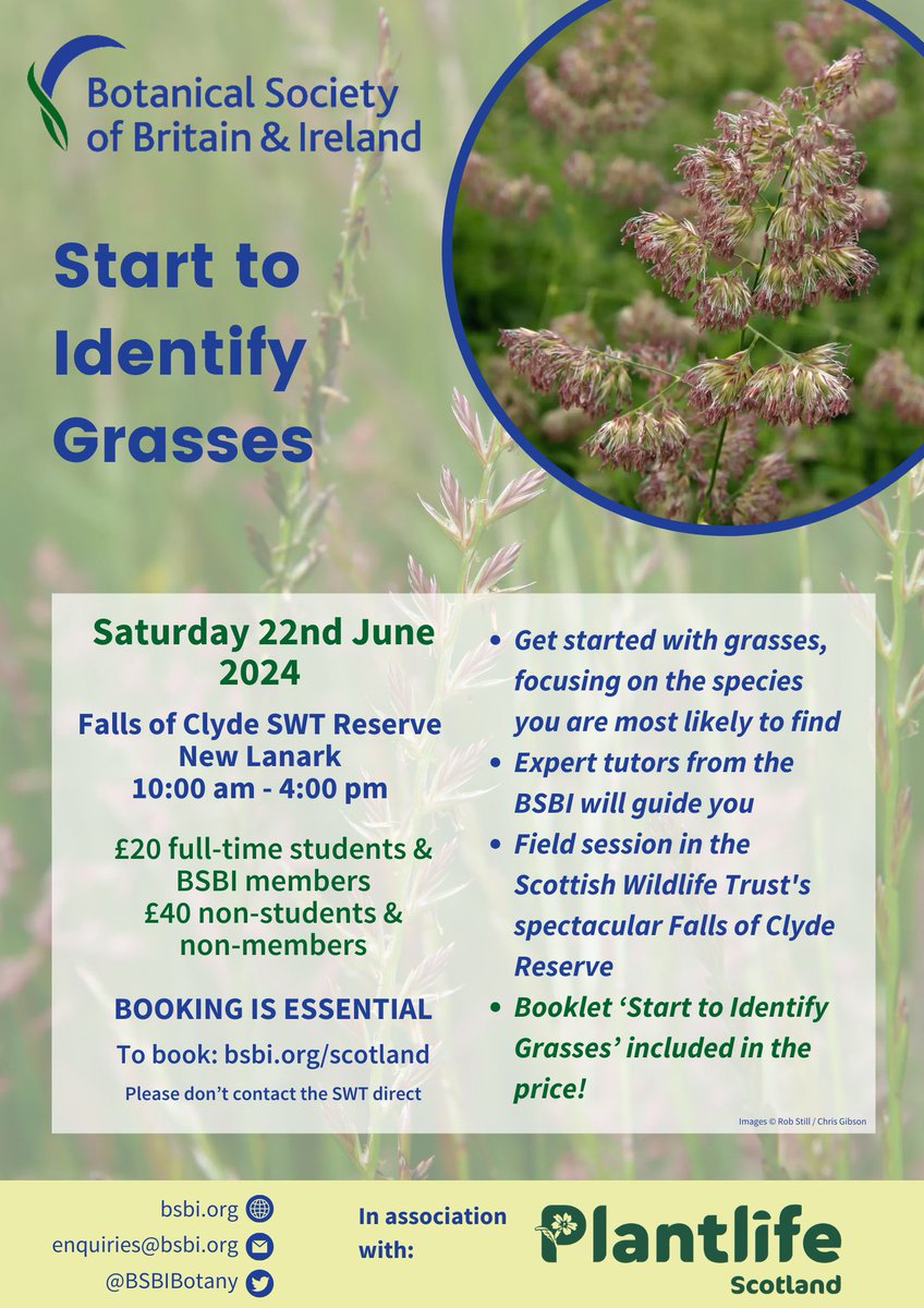 Don't miss out on these amazing events from @BSBIScotland summer! 🌿🌷 Plant lovers of all kinds beginners to advanced students, there's something for everyone, but BOOKING IS ESSENTIAL so grab your place now. bsbi.org/scotland