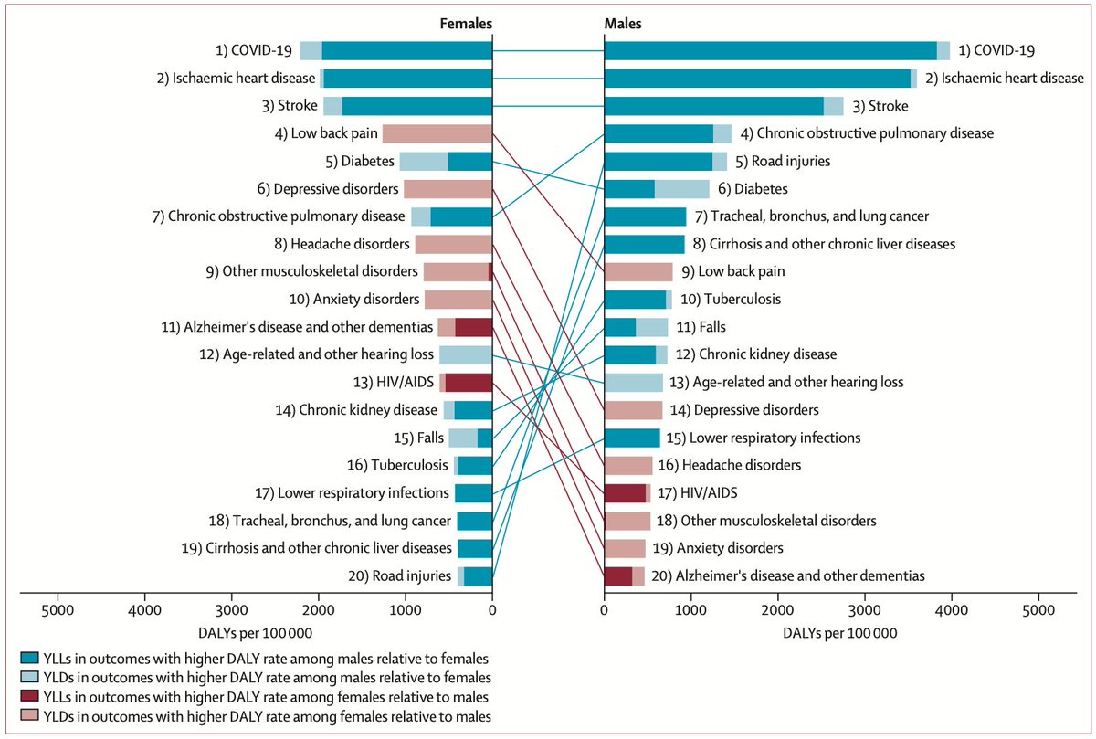 Sex/gender differences in global disease burden A systematic analysis just published @TheLancetPH reveals stark differences in major causes of the 2021 disease burden between females and males. E.g., Alzheimer’s disease and other types of dementia ranked 11th in females and…