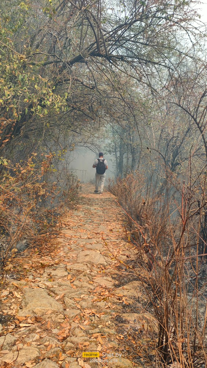 Pushpdeep Mishra (@pushpdeep) on Twitter photo #JungleFire while trek to #Thalkedar temple. Very sad to see beautiful trees and creatures getting burnt alive. #Pithoragarh Administration please save our Jungle! <a href="/DmPithoragarh/">DmPithoragarh</a> <a href="/pushkardhami/">Pushkar Singh Dhami</a> <a href="/PithoragarhPol/">Pithoragarh Police Uttarakhand</a> <a href="/CityPithoragarh/">City Pithoragarh</a> <a href="/UTDBofficial/">Uttarakhand Tourism</a> <a href="/kundan_ifs/">Kundan Kumar, IFS</a> #Uttarakhand #JungleFire while trek to #Thalkedar temple. Very sad to see beautiful trees and creatures getting burnt alive. #Pithoragarh Administration please save our Jungle! <a href="/DmPithoragarh/">DmPithoragarh</a> <a href="/pushkardhami/">Pushkar Singh Dhami</a> <a href="/PithoragarhPol/">Pithoragarh Police Uttarakhand</a> <a href="/CityPithoragarh/">City Pithoragarh</a> <a href="/UTDBofficial/">Uttarakhand Tourism</a> <a href="/kundan_ifs/">Kundan Kumar, IFS</a> #Uttarakhand