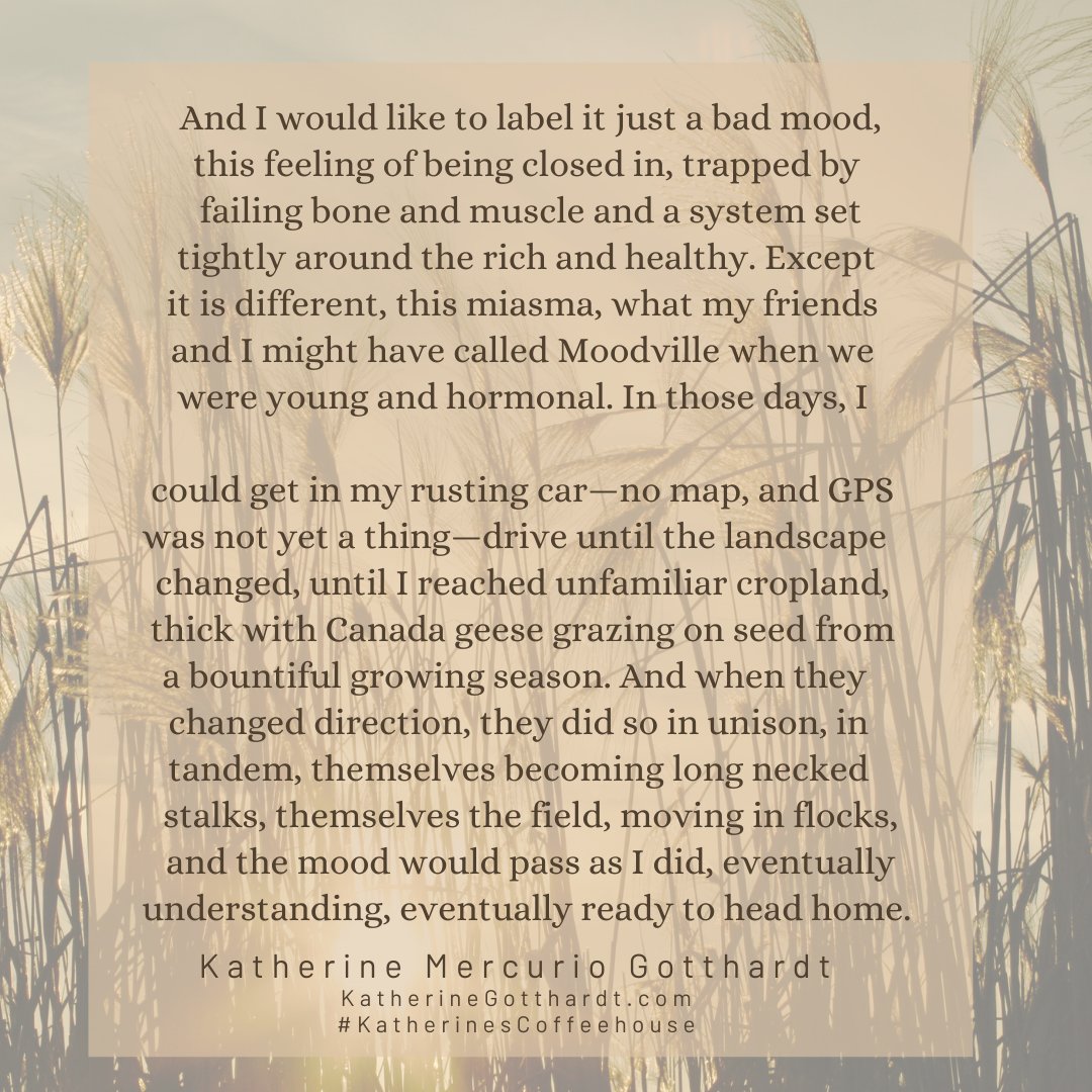 Perhaps a walk in the rain might help. 🤷‍♀️

#KatherinesCoffeehouse #poetry #poem #SocialJustice #capitalism #health