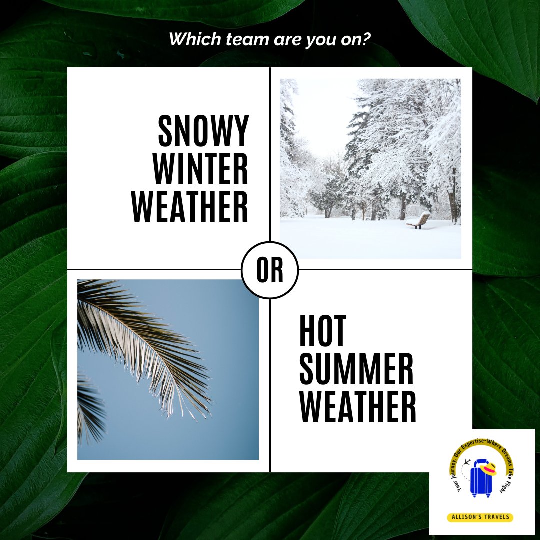 Pick your side! ❄️ Are you all about cozy snowy winters or do you thrive in the heat of summer? Let's see where the votes lie! ☀️ #WinterWonderland #SummerHeat #TeamSnow or #TeamSun?