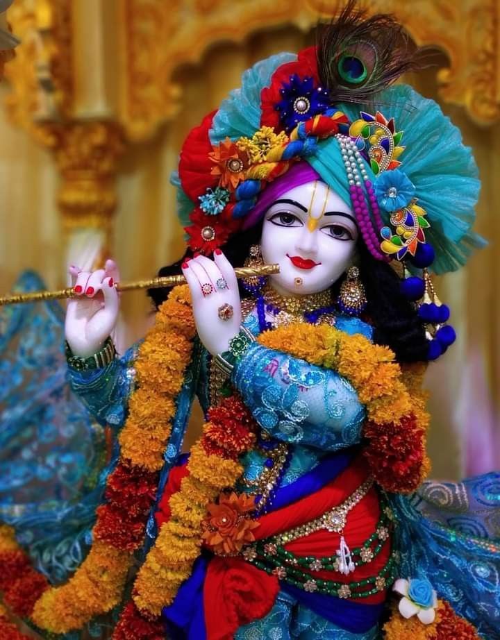 श्री कृष्ण गोविन्द हरे मुरारी, हे नाथ नारायण वासुदेवा... 🌹🙏🏻🚩 जय श्री कृष्ण 🚩🙏🏻🌹