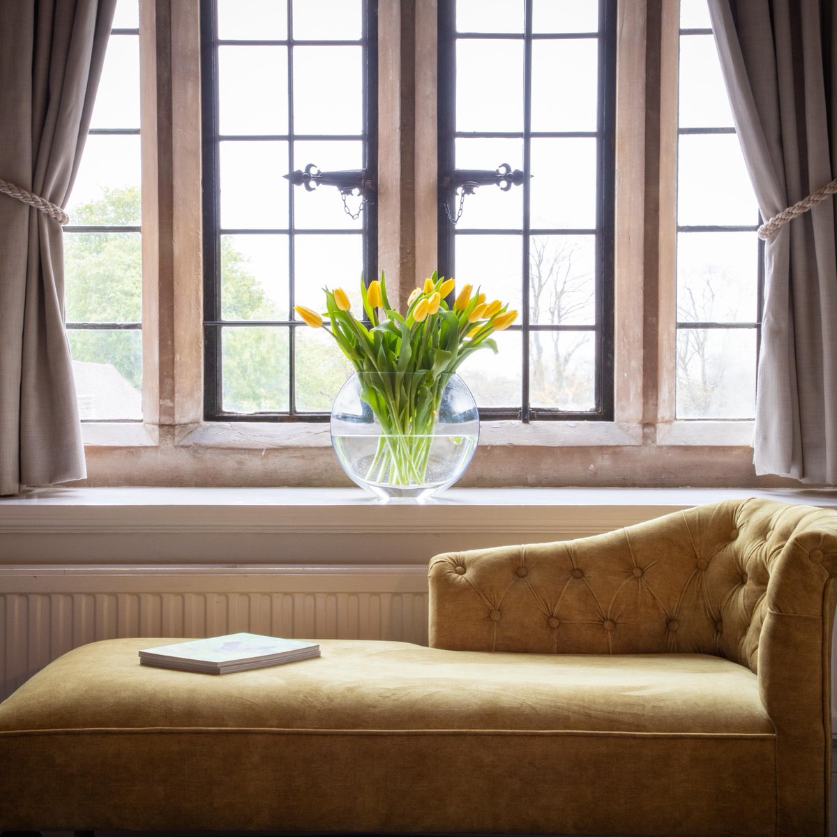 BillesleyManor's tweet photo. Sometimes a change of scenery is all you need. 🌻

#BillesleyManor #HotelAndSpa #Warwickshire #Getaway #StratfordUponAvon #LuxuryRooms #WeekendAway #Manor #RichHistory #Alcester #HotelRoom #LuxuryHotel #BespokeHotel https://t.co/F9sGB9XpGg