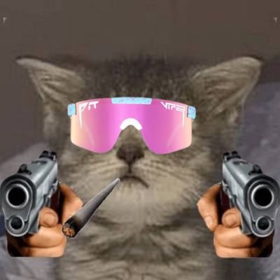 If you shill a coin under my $chibi tweets imna shoot then block you