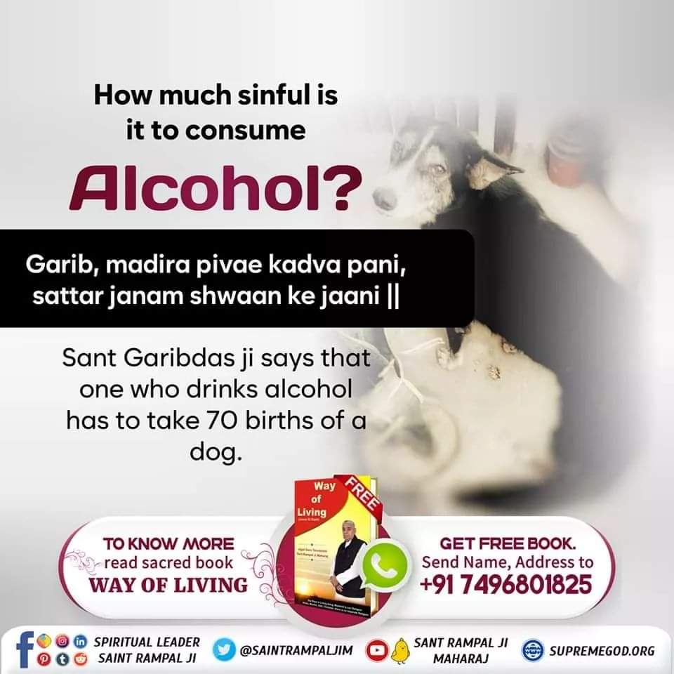 #SantRampalJiQuotes
Garib, madira pivae kadva pani, sattar janam shwaan ke jaani |
Sant Garibdas ji says that one who drinks alcohol has to take 70 births of a dog.
#StopDrinkingAlcohol.