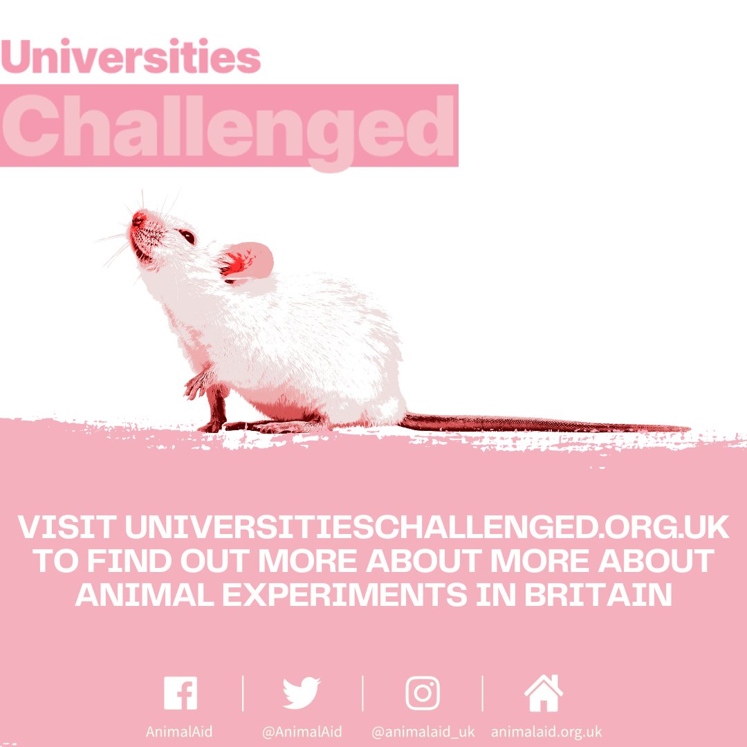 If you want to host an outreach event at your uni, we'd love to hear from you! Together, let's put an end to these unnecessary practices. 💪💚 Get in touch with us today and let's make a positive change together! 🌟 #EndAnimalCruelty #StudentsForChange #MakeADifference