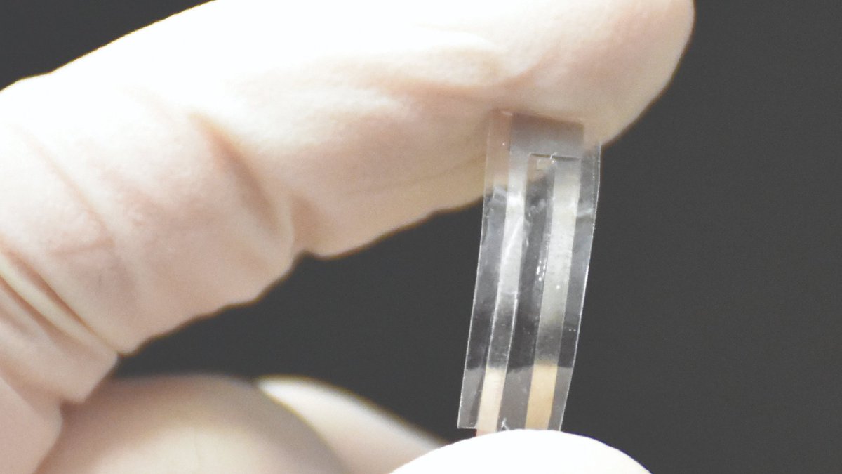 NguyenUConn_lab (@nguyenuconn) on Twitter photo Our lab (nguyenresearchgroup.com) is looking for postdocs and PhD students with background in electronic/electroactive materials to work in interdisciplinary bioengineering projects. Please help to share and email me (nguyentd@uconn.edu) with your CV if you are interested. Our lab (nguyenresearchgroup.com) is looking for postdocs and PhD students with background in electronic/electroactive materials to work in interdisciplinary bioengineering projects. Please help to share and email me (nguyentd@uconn.edu) with your CV if you are interested.