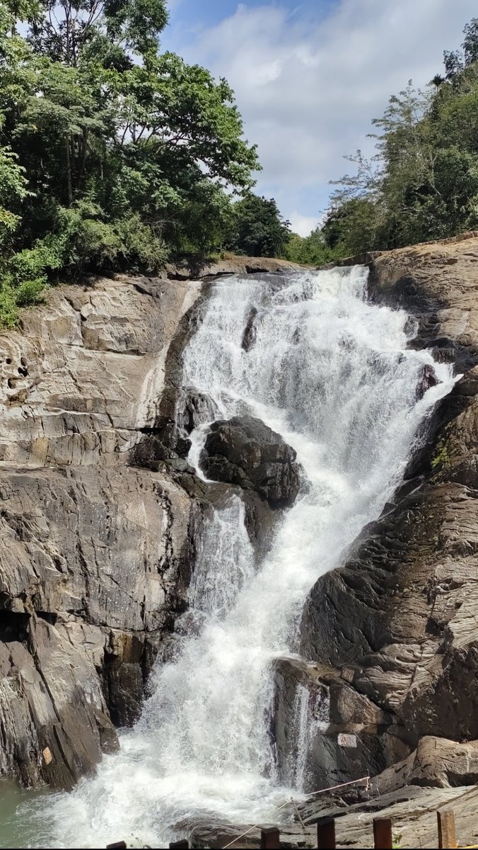#theme_pic_india_waterfall 
#Myclick #waterfalls
Soochipara waterfall from wayanad..❣️