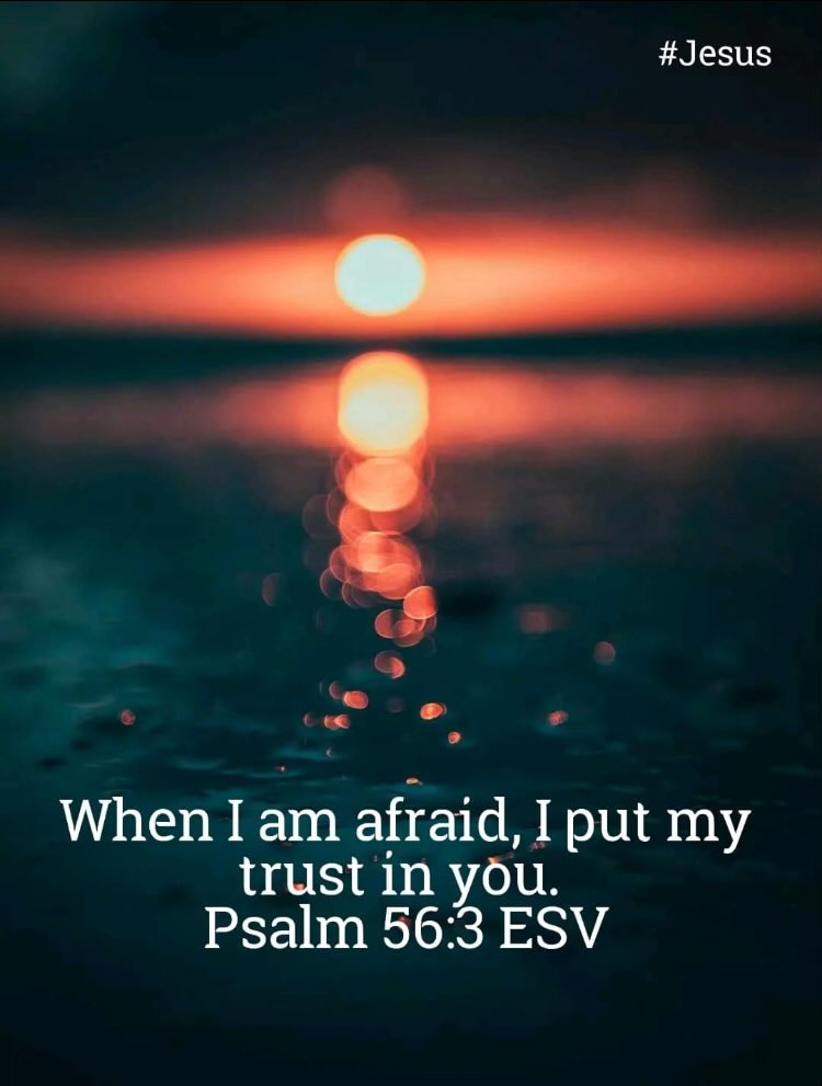 Good Morning Fishers of Men🪝✝️

Read Psalm 56:1-4

When David was afraid he put his trust in GOD. What do you do when life’s discomforts stir up your fears? We can put our trust in our Heavenly Father too.

Dear GOD, in our humanity and frailty, we can become fearful. Please