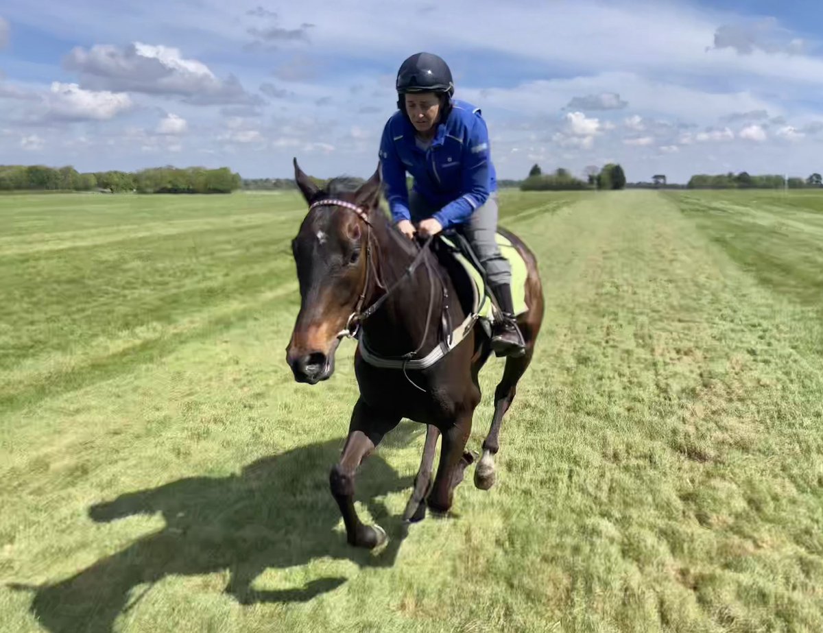 It has turned out to be a very pleasant Saturday @NewmarketGallop once the sun had worked its way through the clouds. All eyes on the Rowley Mile for the QIPCO 2,000 Guineas but we’re off to @GTYarmouthRaces for Flying Star’s debut at 7.00 #Hiccups