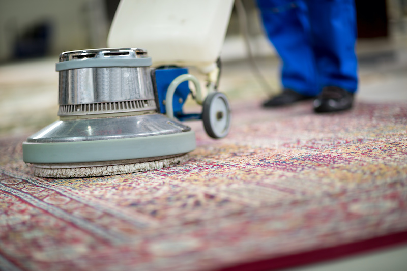 10 Years in Business: From humble beginnings, our commitment has always been to provide clean carpets and a healthier, cleaner living environment for our clients. #CarpetCleaning #RugCleaning #OdorRemoval #Meridian #MeridianIdaho #UpholsteryCleaning bit.ly/4aErpiC