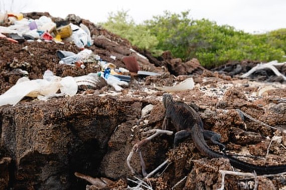 The #Galapogos, Unesco heritage site, is inundated with plastic. #GreenpeaceGrahamForbes: The pollution crisis will not be solved without #reducingandrestrictingplasticproduction. #Oilproducingnations want to focus on waste management rather than decreasing plasticproduction