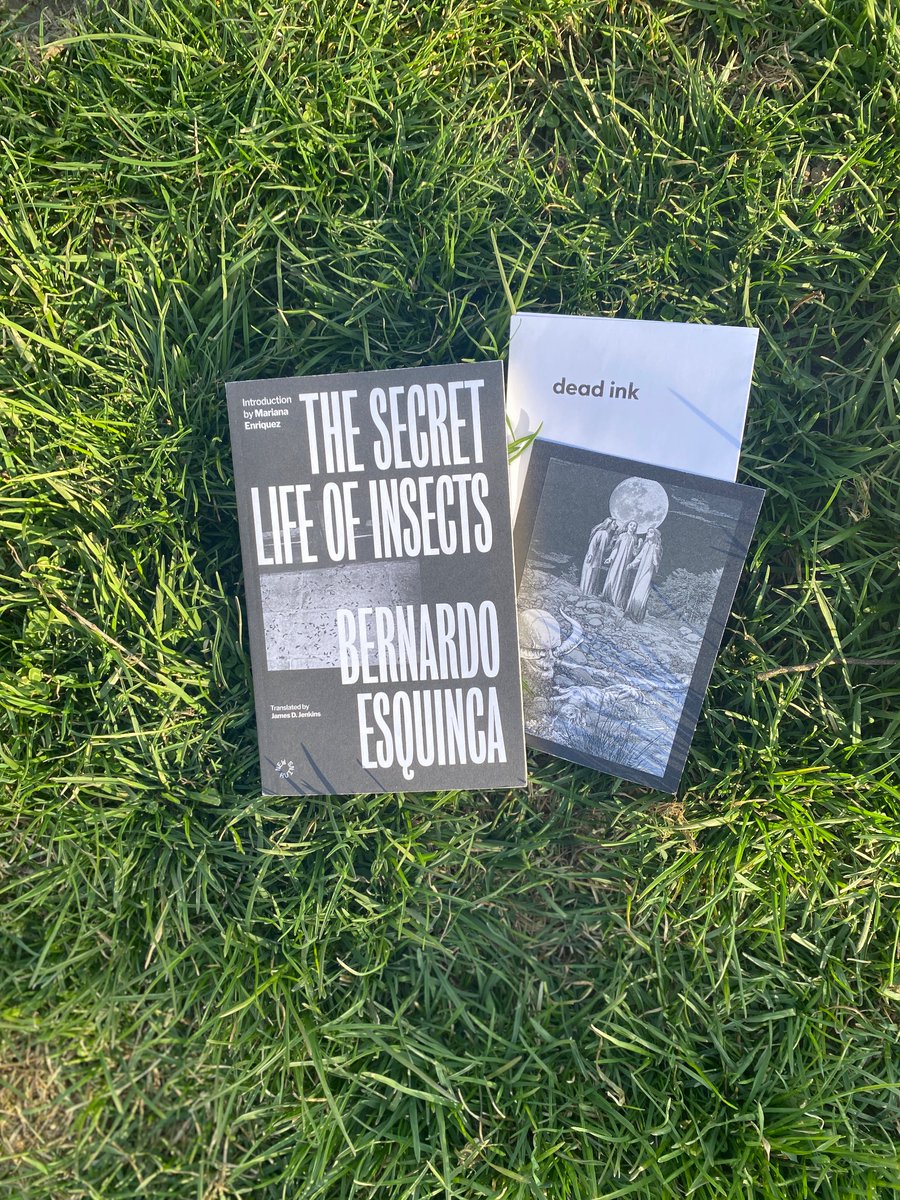 Just finished reading: #TheSecretLifeofInsects by Bernardo Esquinca and I Must say this is my favourite #horrorstory collection of 2024 so far @DeadInkBooks thank you for sending a copy! “Demoness” and “Pan’s Noontide” are my fav!